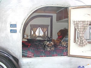 Click on image for larger view.