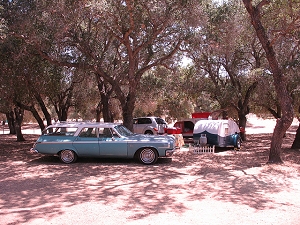 Click on image for larger view.