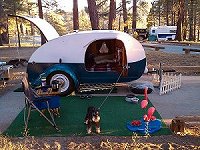 Click on image for larger view.