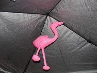 Click on image for larger view.