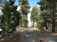 Click on image for larger view.