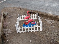 Click on image for larger view.