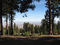 Click on image for larger view.