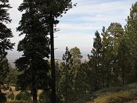 Click on image for larger view.