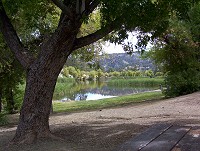 Click on image for larger view.