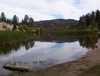 Click on image for larger view.