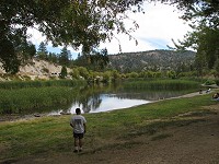 Click on image for larger view.