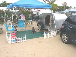 Click on image for larger view.