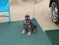 Click on image for larger view.